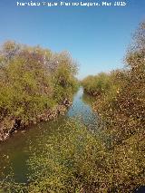 Ro Guadalquivir. A su paso por Villanueva de la Reina