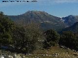 Cerro Grajales. Desde el Puerto de las Corbeteras