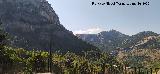 Ermita de la Virgen de la Cabeza. Vistas