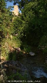 Ro Cerezuelo. Con el Castillo de la Yedra al fondo