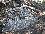 Cortijo Cerrillo de la Cima. Piedra donde se sentaba el Santo Luisico