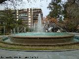 Fuente del Parque de la Concordia. 