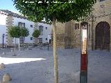 Plaza Miguel de Cervantes. 