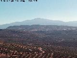 Las Atalayuelas. Desde la Torre de Mara Martn