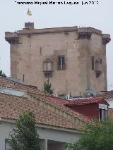 Torre de Garci Mndez. 