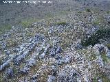 Llanos de la Sierra. Afloramiento de los estratos calizos