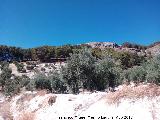 Hoya de la Sierra. Paraje donde se encuentran las casas cueva