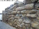 Muralla ciclpea. 