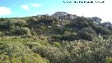 Cerro Miguelico. Cumbre