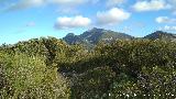 Cerro Miguelico. Vistas hacia Jabalcuz
