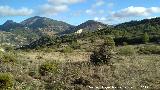 Cerro Miguelico. Llanos altos