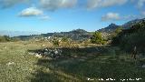 Cerro Miguelico. Llanos altos