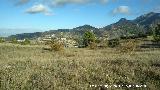 Cerro Miguelico. Llanos y colmenas