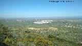 Cerro Miguelico. Vistas a Torredonjimeno