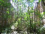 Ermita-Hospedera Madre de Dios del Campo. Interior del ala Este