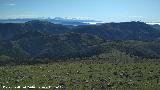 Cerro Los Morales. Vistas hacia Sierra Nevada