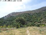 Cerro del Hoyo. Cara norte