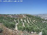 Oppidum Cerro Bollero. Murallas