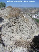 Oppidum Cerro Bollero. Murallas