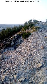 Oppidum Cerro Bollero. Lnea de muralla