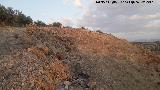 Oppidum Cerro Bollero. Lnea de muralla