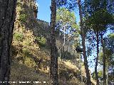 Castillo de Biar. Muralla