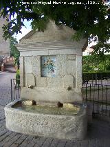 Fuente del Pltano. 