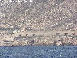 Batera de San Isidoro y Santa Florentina. 