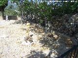 Cementerio de Guadalest. Tumbas