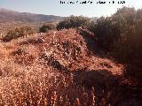 Oppidum Cerro Guinea. 