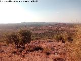 Oppidum Cerro Guinea. Vistas hacia el Trmino