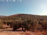 Oppidum Cerro Guinea. 