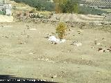 Cementerio de San Eufrasio. Tumbas en la tierra