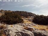 Cerro de los Morteros. Abrigos