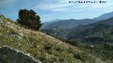 Cerro de los Morteros. Ladera sur