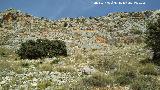 Cerro de los Morteros. Cara sur