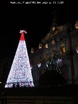 Palacio de la Diputacin. Iluminacin navidea