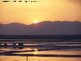 Salinas de Santa Pola. 