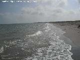 Playa del Pinet. 