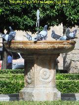 Fuente de la Plaza Vzquez de Molina. 