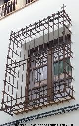 Casa de la Calle Lorenzo Soto n� 5. Reja de rosetas con picas