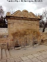 Fuente del Arca del Agua. 