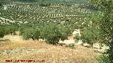 Cerro Romano. Vistas