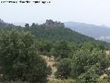 Cerro Fuente del Bierzo. 