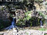 Balneario de Jabalcuz. Nacimiento de aguas termales al lado del balmeario