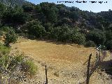 Campo de Ftbol de Marchena. 