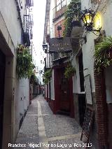 Calle Arco del Consuelo. 