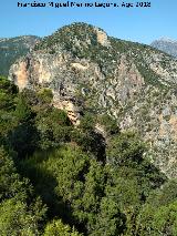 Cerro Pitillos. Desde la Caada del Sabinar