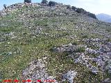 Aldea islmica de Peaflor. Con el castillo al fondo