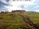 Cerro del Cueto. 